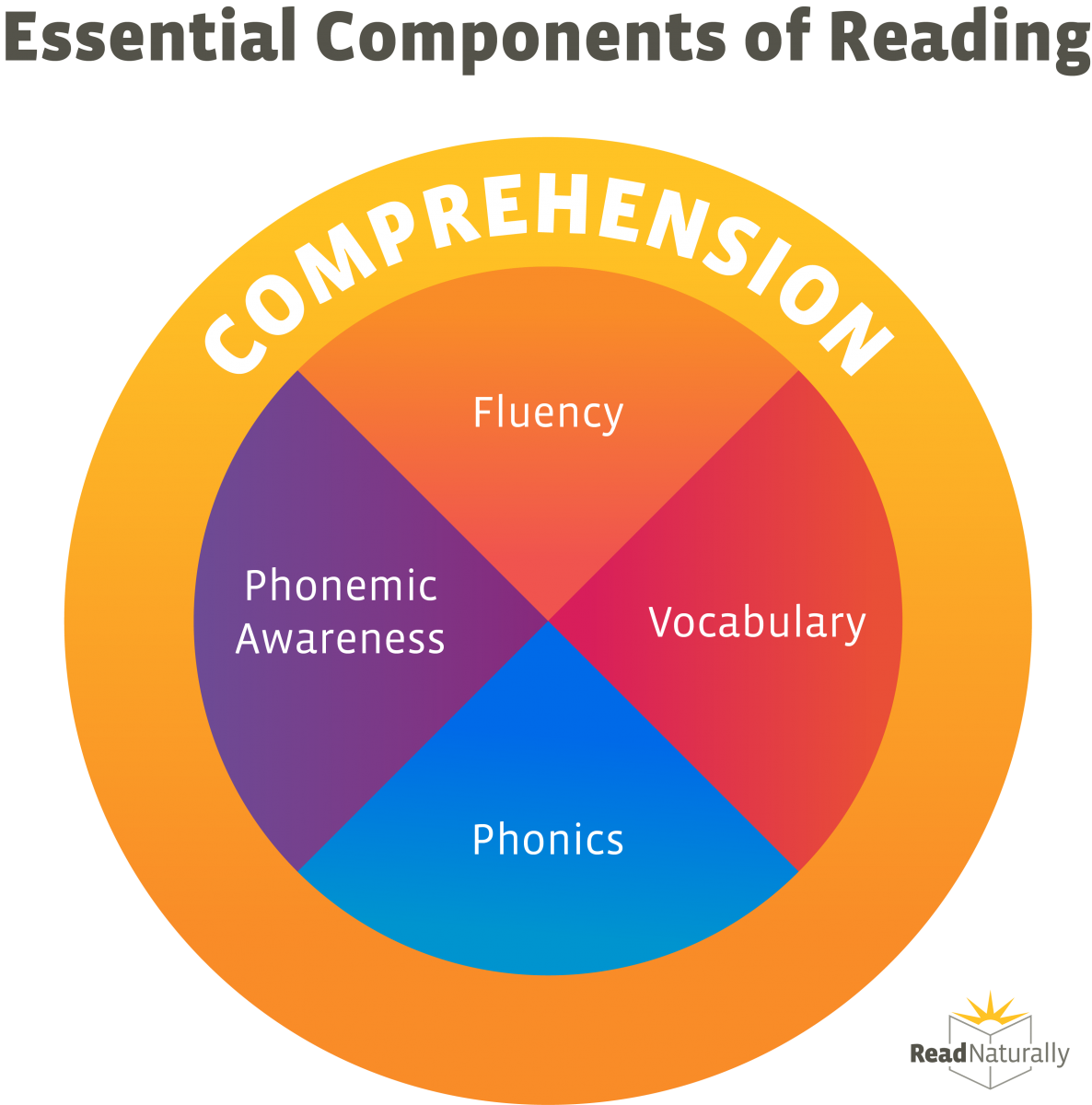 What are the 5 reading approaches?