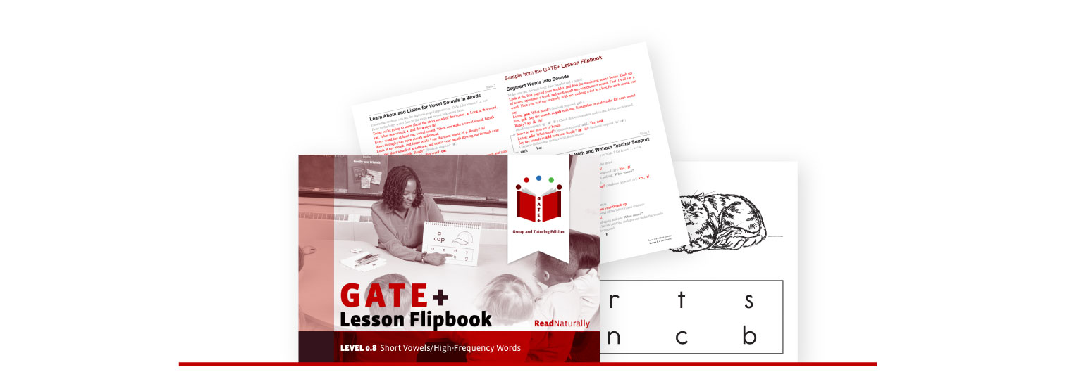 GATE+ Lesson Flipbook and Digital Download Samples