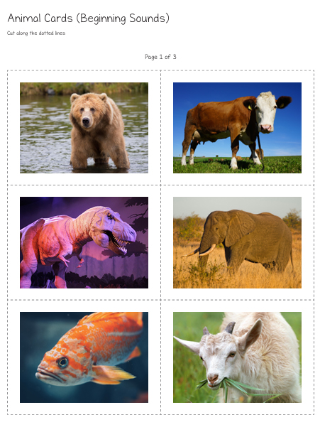 Download our Animal Cards