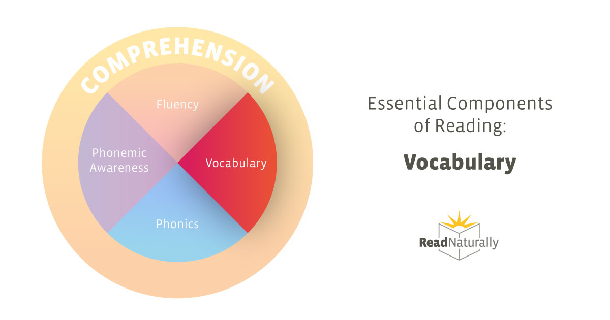 Vocabulary
