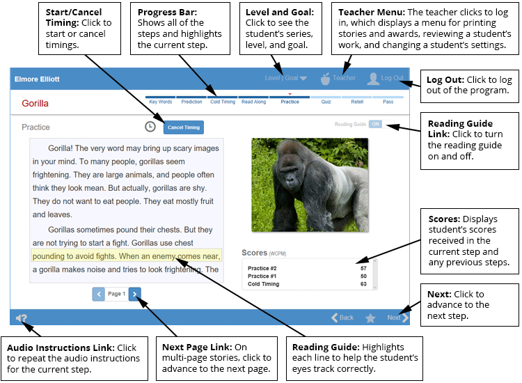 Common features of the stories screens