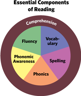 Componenti essenziali della lettura (con ortografia)